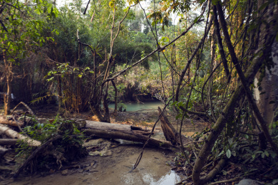 老挝朗布拉邦湿地公园