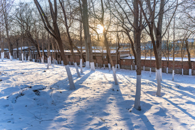 雪天山村夕阳太阳光线冬季村庄
