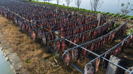 江南渔家晒青鱼干