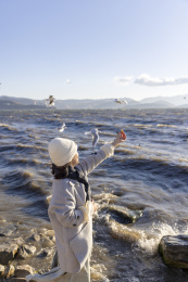 美女在大理洱海龙龛码头喂海鸥日出唯美
