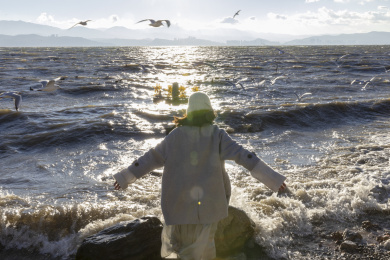 大理洱海日出唯美光线美女快乐喂海鸥背影