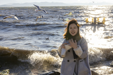 美女在大理洱海龙龛码头喂海鸥日出唯美