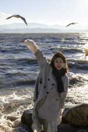 美女在大理洱海龙龛码头喂海鸥日出唯美