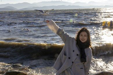 大理洱海日出唯美光线 美女快乐喂海鸥