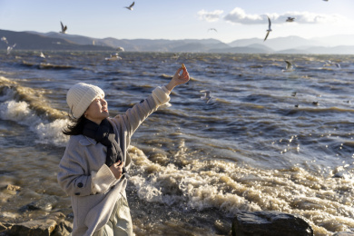 大理洱海日出唯美光线 美女快乐喂海鸥