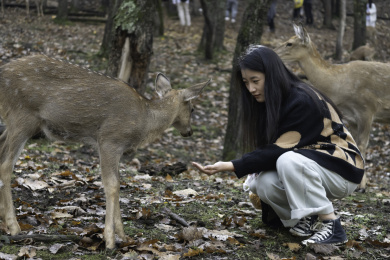 一个女生喂食梅花鹿