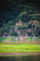 丹东宽甸绿江村夏季自然风光