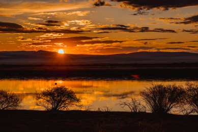 呼伦贝尔秋季草原