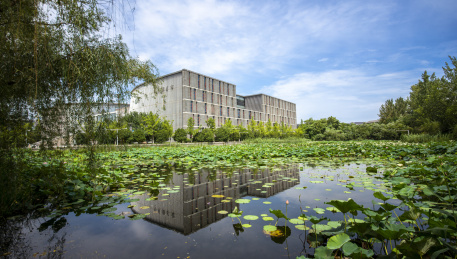 南京大学，图书馆