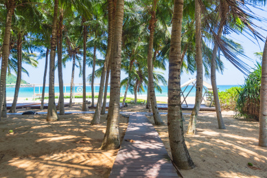 海南陵水呆呆岛椰林风光