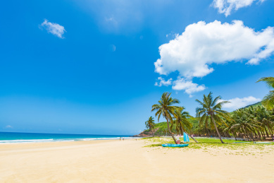 海南陵水呆呆岛椰林风光