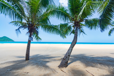 海南陵水呆呆岛椰林风光
