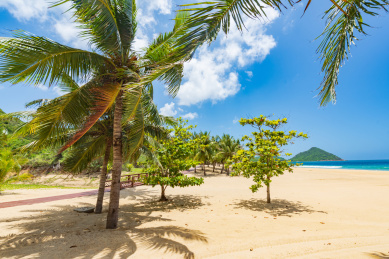 海南陵水呆呆岛椰林风光