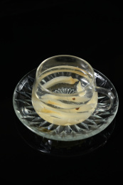 桌面上的杯子里的甘甜可口的天冬茶