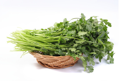 新鲜蔬菜香菜