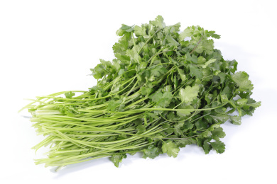 新鲜蔬菜香菜