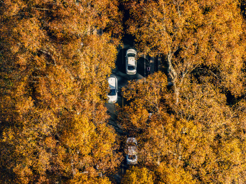 南京梧桐树大道