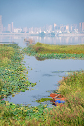 山东济宁邹城孟子湖湿地夏天