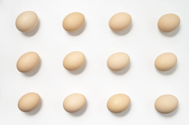 许多鸡蛋整齐排列在白色背景中