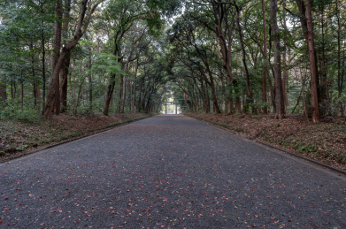 日本东京明治神宫