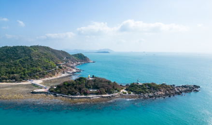 海南三亚西岛海洋文化旅游区蓝天白云下的牛