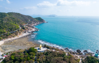 海南三亚西岛海洋文化旅游区蓝天白云下的牛