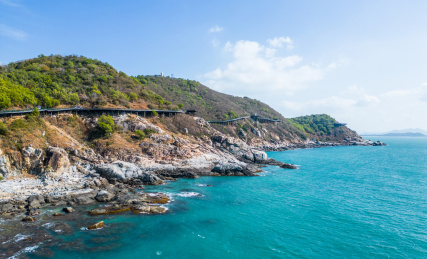 海南三亚西岛海洋文化旅游区蓝天白云下的牛