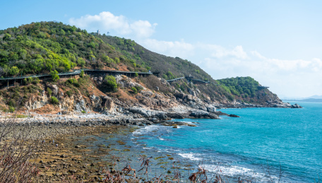 海南三亚西岛海洋文化旅游区蓝天白云下的牛