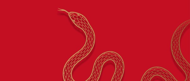 蛇矢量抽象艺术绘画插画背景封面