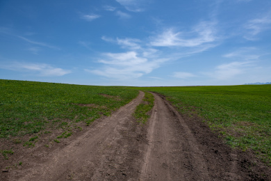 中国新疆伊犁喀拉峻风景区草原上泥泞道路