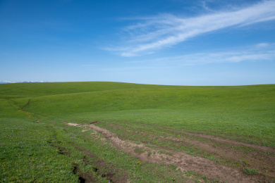 中国新疆伊犁喀拉峻风景区草原上泥泞道路