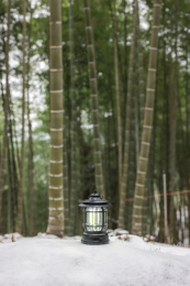 冰雪上的一盏明灯