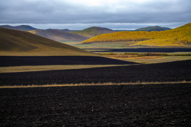 中国内蒙古兴安盟秋季肥沃的黑土地田园风光