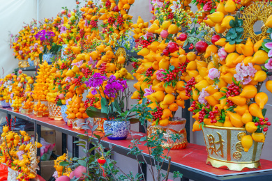 佛山花卉世界陈村迎春花市黄金果五指果
