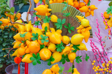 佛山花卉世界陈村迎春花市黄金果五指果