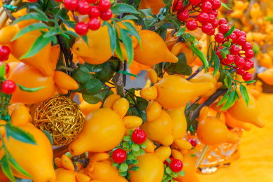 佛山花卉世界陈村迎春花市黄金果五指果