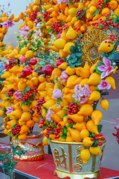 佛山花卉世界陈村迎春花市黄金果五指果