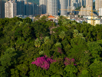 广东珠海炮台山公园航拍