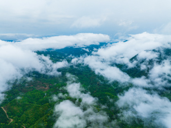 海南五指山热带雨林云海景观