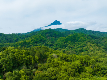 海南五指山热带雨林云海景观