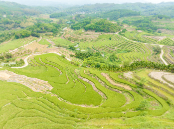 海南五指山牙胡梯田美景