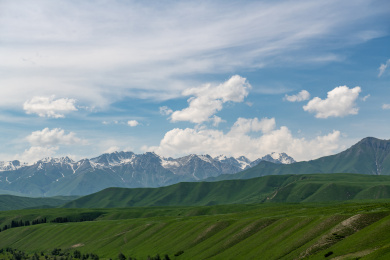 中国新疆伊犁夏季雪山森林草原景观