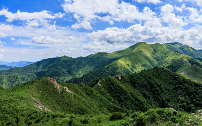 河北涿鹿白谷查山高山草甸