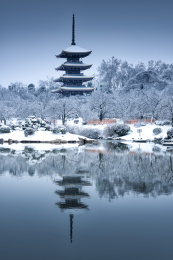 中国湖北武汉东湖磨山樱园雪景