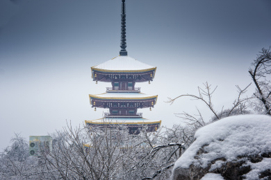 中国湖北武汉东湖磨山樱园雪景