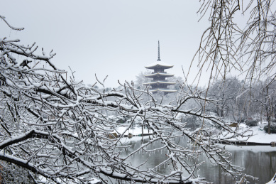 中国湖北武汉东湖磨山樱园雪景