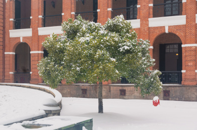 武汉武昌阅马场红楼公园雪景风光