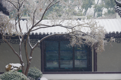 武汉东湖梅园雪景风光