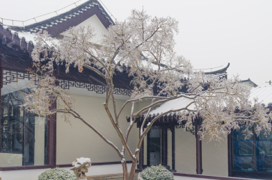 武汉东湖梅园雪景风光