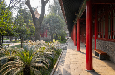 陕西省西安市碑林博物馆园林风景